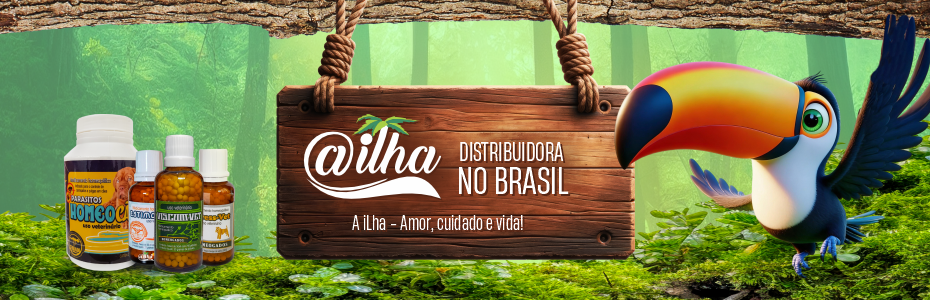 A Ilha