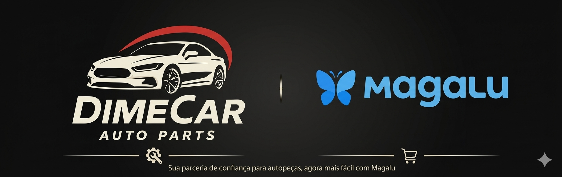 DIMECAR AUTO PARTS LTDA