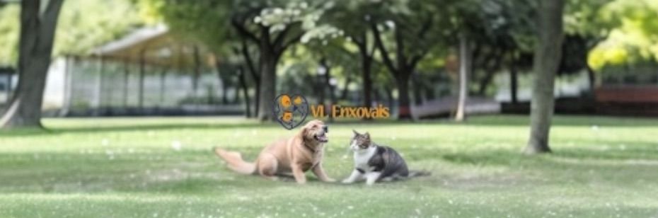 VLEnxovais