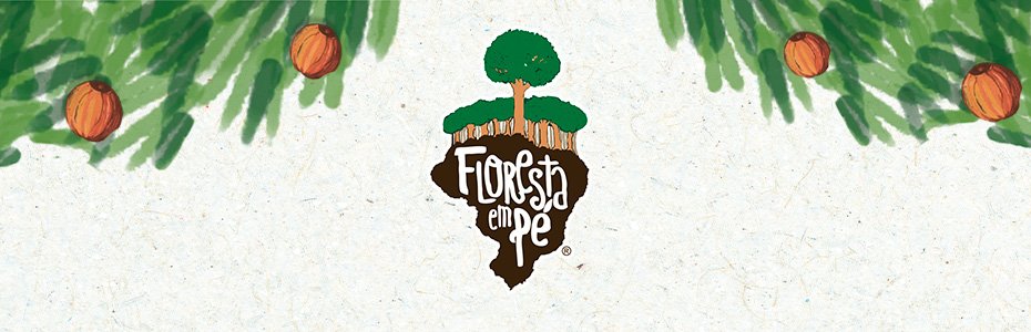 Floresta em Pé