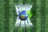 logo Football