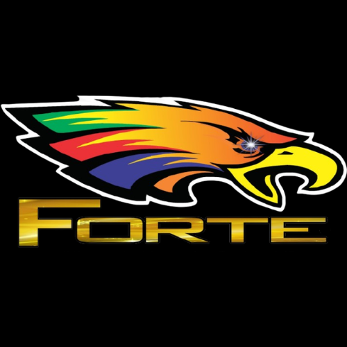 forteimpressaoonline