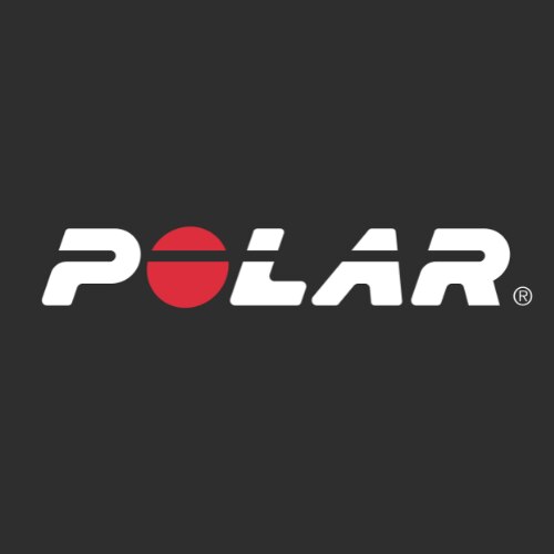 logo Polar Oficial Brasil