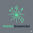 logo Ponto Essencial.