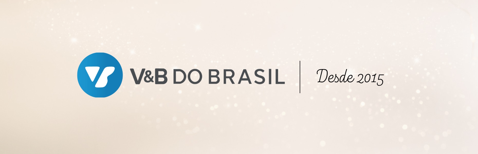 V&B do Brasil
