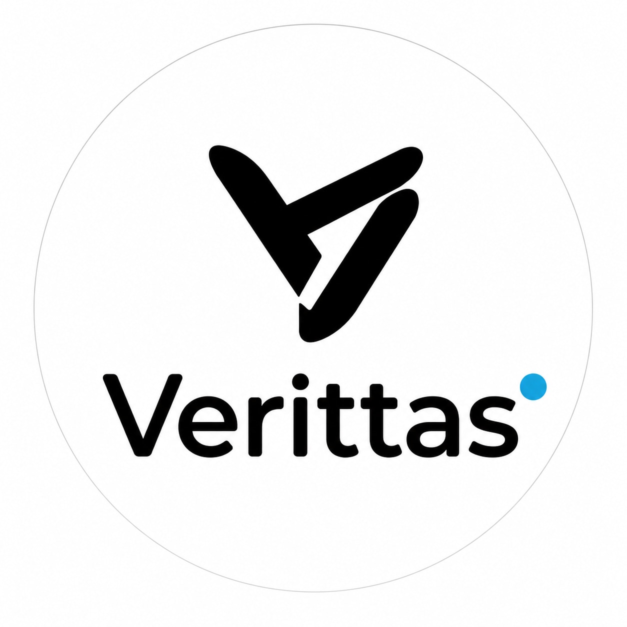 logo Verittas Comercio Brasil LTDA