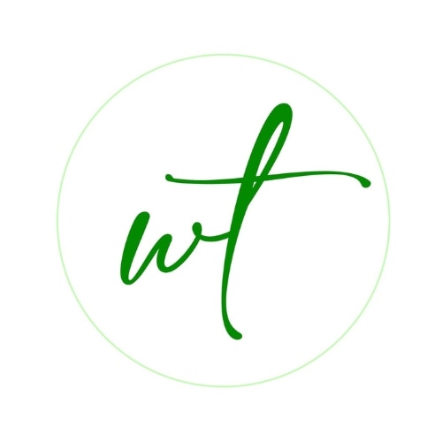 logo World Store